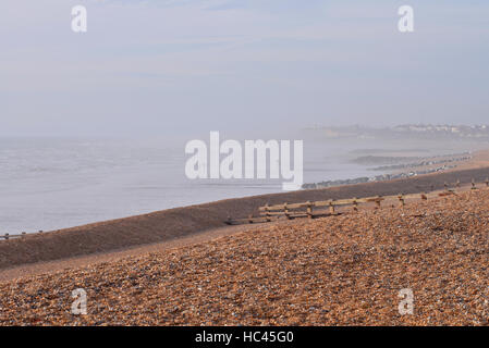 Les promeneurs de chiens sur la plage à St Leonard's-sur-mer, à Bexhill-on-sea, Royaume-Uni Crédit : Francisco R. Soeiro/Alamy Live News Banque D'Images