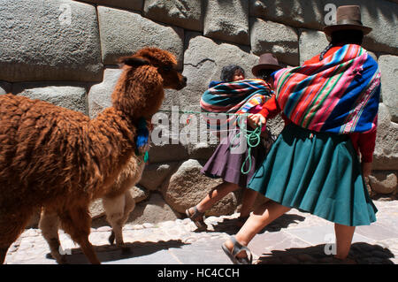 Une femme et ses lamas à côté de la pierre de 12 angles. Cette pierre est bien connu, la particularité qui a fait sa célèbre est la présence de 12 angles whic Banque D'Images