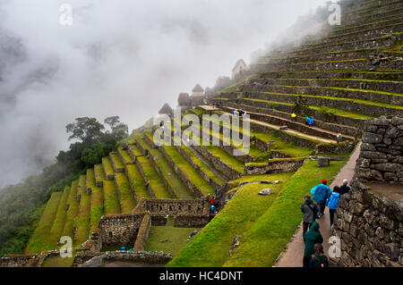 Terrasses à l'intérieur du complexe archéologique de Machu Picchu. Machu Picchu est une ville située dans la cordillère des Andes, au Pérou moderne. Il se trouve à 43 km Banque D'Images