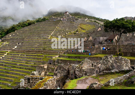 Terrasses à l'intérieur du complexe archéologique de Machu Picchu. Machu Picchu est une ville située dans la cordillère des Andes, au Pérou moderne. Il se trouve à 43 km Banque D'Images