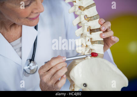 Physiothérapeute de l'examen d'un modèle de la colonne vertébrale Banque D'Images