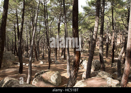 Randonnées dans la forêt à Albarracin, en Espagne Banque D'Images