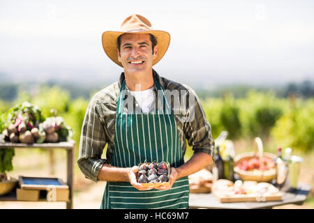 Portrait of a smiling farmer holding fort de fig Banque D'Images