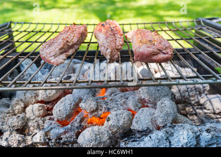 Les filets de viande barbecue Braai charbon flamme port Banque D'Images