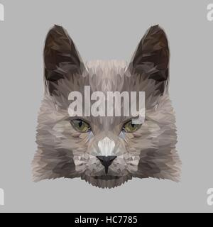 Chat gris low poly design. Illustration vecteur de triangle Illustration de Vecteur