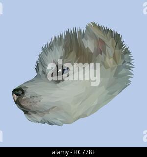 Chien chiot Husky design poly faible. Illustration vecteur de triangle Illustration de Vecteur