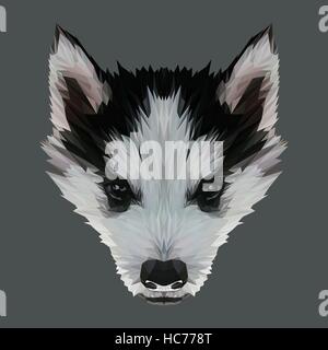 Chien chiot Husky design poly faible. Illustration vecteur de triangle Illustration de Vecteur