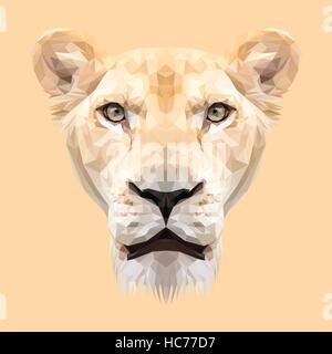 Lionne poly bas design. Illustration vecteur de triangle Illustration de Vecteur