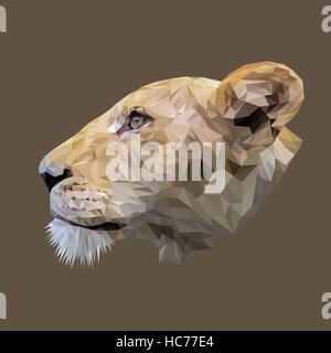 Lionne poly bas design. Illustration vecteur de triangle Illustration de Vecteur