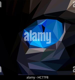 Cat Eye low poly design. Illustration vecteur de triangle Illustration de Vecteur