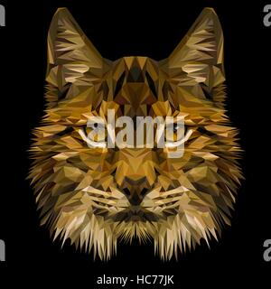 Chat Lynx low poly design. Illustration vecteur de triangle Illustration de Vecteur