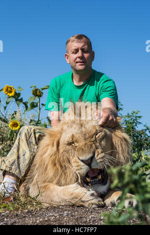 L'homme serrant le lion au parc safari Taigan, Crimée, Russie Banque D'Images