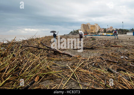 Fuengirola, Malaga, Espagne. 4e décembre 2016. Plage plein de débris. La pluie le plus lourd au cours des 25 dernières années Banque D'Images