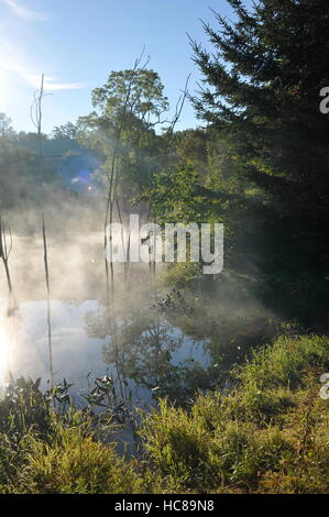 Mist passant d'étang avec maison d'oiseaux, capturés pendant le lever du soleil dans les montagnes de Pennsylvanie près de Laurel Ohiopyle. Banque D'Images