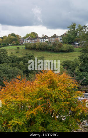 Maisons rurales au-delà des arbres d'automne Banque D'Images