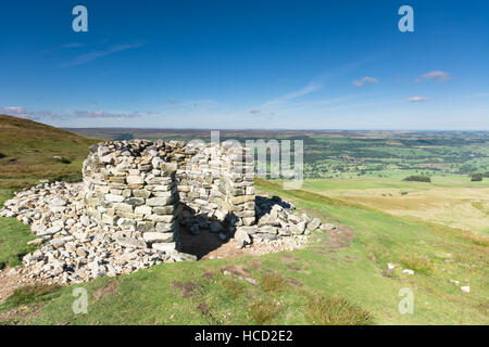 Wensleydale voir et Penhill Beacon, Yorkshire Dales Banque D'Images