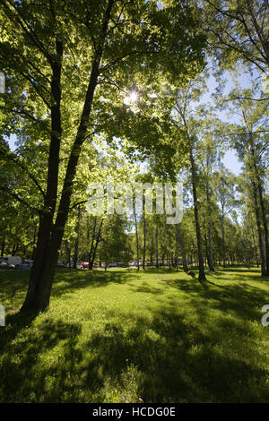 Dans le parc Sibelius, Helsinki Finlande Töölö Banque D'Images