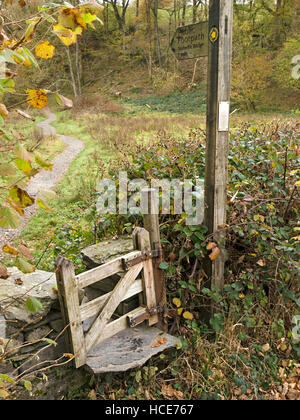 Marche-pied stile dans un mur de pierre sec avec une porte minuscule en bois et un signe de poteau de doigt, Colwith, Cumbria, Royaume-Uni. Banque D'Images