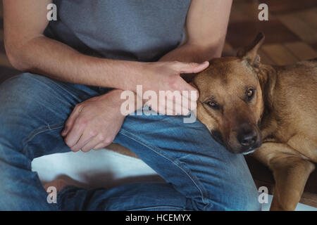 Détente chien sur les genoux de l'homme Banque D'Images