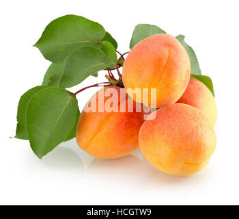 Abricots isolé sur le fond blanc. Banque D'Images