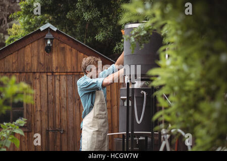 Man pouring sac d'orge dans le Wort pour faire de la bière Banque D'Images