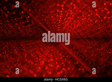 Bokeh, modèle fractal symétriques multicolores comme fleur ou papillon en vitrail de style. Les graphiques générés par ordinateur. Banque D'Images