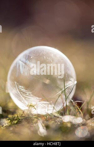 Bulle de savon glace brillants dans la lumière vive avec les modèles de glace sur l'herbe et la mousse, au sol et un bokeh montrant de-l'accent historique Banque D'Images