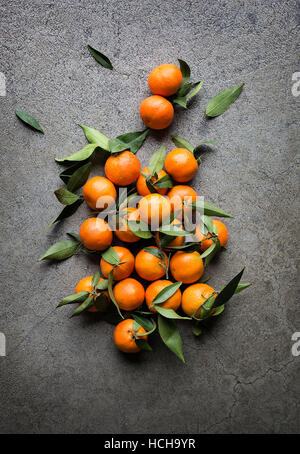 Tangerines fraîches avec des feuilles vertes sur fond gris Banque D'Images