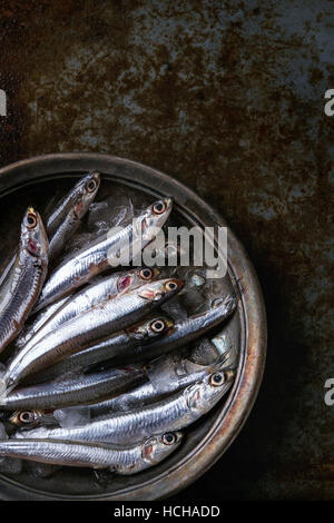 Lot de matières premières poissons anchois frais sur de la glace concassée dans vintage plaque sur vieux fond de métal sombre. Vue d'en haut. Fruits de mer un arrière-plan. Banque D'Images