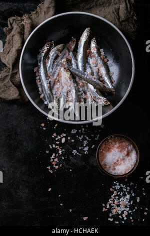 Lot de matières premières d'anchois frais poissons en céramique noire bol avec sel de mer et rose sur fond noir metal. Vue d'en haut. Avec un arrière-plan de mer s Banque D'Images