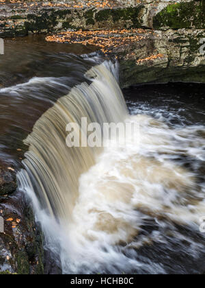 Stainforth Vigueur ou Stainforth Foss sur la rivière Ribble en automne Stainforth Ribblesdale Angleterre Yorkshire Dales Banque D'Images