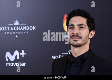 Darin Chino acteur lors de la première du film "La reine d'Espagne" à Madrid le jeudi 24 novembre 2016. Banque D'Images