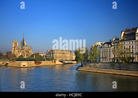 La Cathédrale Notre Dame sur l'Île de la Cité, l'une des îles en Seine, Paris, France. À droite, l'Île Saint-Louis Banque D'Images