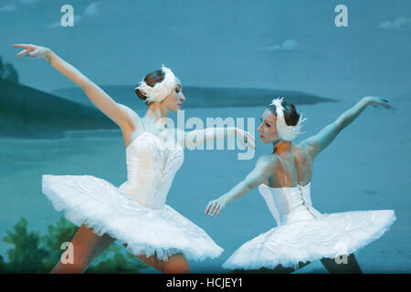 Sofia, Bulgarie - décembre 7, 2016 : "l'Etat de Saint-Pétersbourg ballet sur glace' effectue le Lac des cygnes ballet sur glace dans le hall 1 du Palais National de la Culture. Banque D'Images