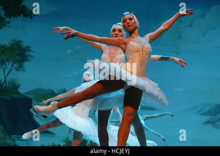 Sofia, Bulgarie - décembre 7, 2016 : "l'Etat de Saint-Pétersbourg ballet sur glace' effectue le Lac des cygnes ballet sur glace dans le hall 1 du Palais National de la Culture. Banque D'Images