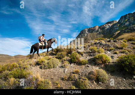 Arcillio Sepulve travaille comme le puma tracker dans estancia Valle Chacabuco. Des photos de lui à cheval et son cheval à l'aide de son antenne et radio tracker dans les plus hautes collines du parc où le puma sont habituellement trouvés. Banque D'Images