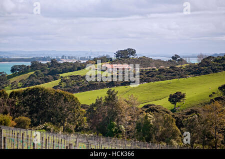 Baie du vignoble ; Waiheke Island, New Zealand Banque D'Images