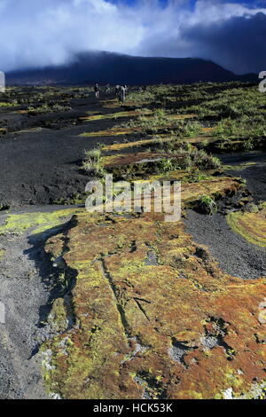 La marche 8x12km.vaste caldeira marcher sur des motifs solides et de frêne noir couvert de lichens étendues de lave et les petites plantes vertes Banque D'Images