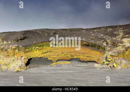 La marche 8x12km.vaste caldeira marcher sur des motifs solides et de frêne noir couvert de lichens étendues de lave et les petites plantes vertes Banque D'Images