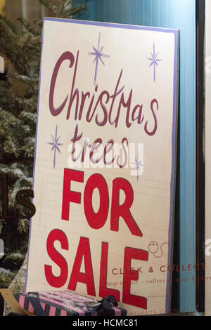 Les arbres de Noël à vendre dans le secteur de la vente au détail de la ville de Chester, Cheshire, Royaume-Uni Banque D'Images