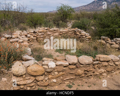 Romero ruine, Catalina State Park, Tucson, Arizona. Banque D'Images