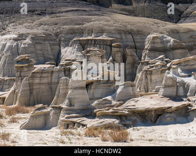 Formations Hoodoo, Bisti/De-Na-Zin Wilderness, Farmington, Nouveau-Mexique. Banque D'Images