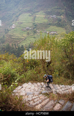 Trekking au Népal tourisme ABC Banque D'Images