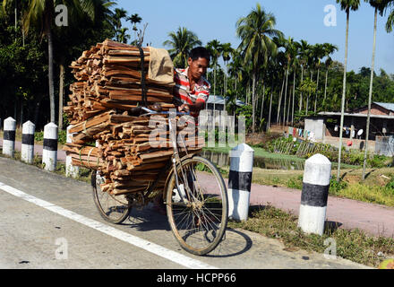 Transportant du bois sur son vélo- une scène quotidienne dans les régions rurales de l'Assam, en Inde. Banque D'Images