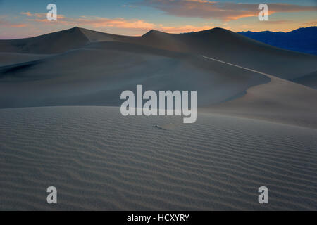 Les dunes de la vallée de la mort, le matin. Banque D'Images