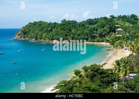 La plage de Castara Bay à Tobago, Trinité-et-Tobago, dans les Antilles, Caraïbes Banque D'Images