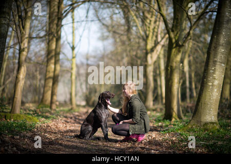 Une fille prend son German short-haired pointer pour une promenade dans les bois près de Ashmore dans le Dorset, UK Banque D'Images