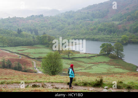 Une femme donne sur Rydal Water près de Grasmere, Parc National de Lake District, Cumbria, Royaume-Uni Banque D'Images