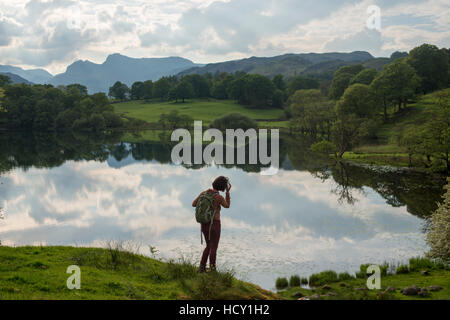 Une femme donne sur le Tarn, au pied du Parc National de Lake District, Cumbria, Royaume-Uni Banque D'Images