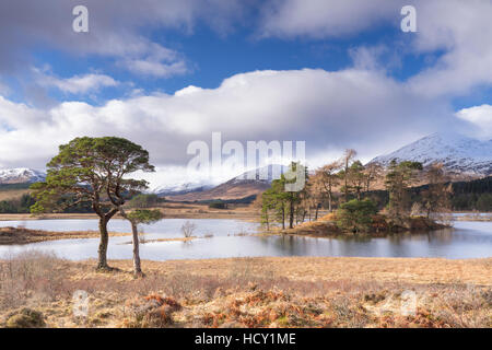 Loch Tulla, pont de Orchy, Glencoe, Argyll and Bute, Ecosse, Royaume-Uni Banque D'Images